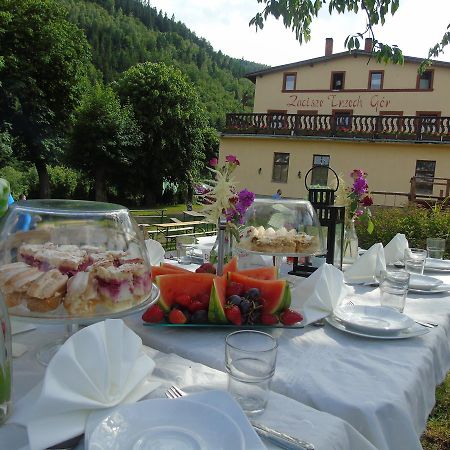 Zacisze Trzech Gór Vila Jedlina-Zdroj Exterior foto