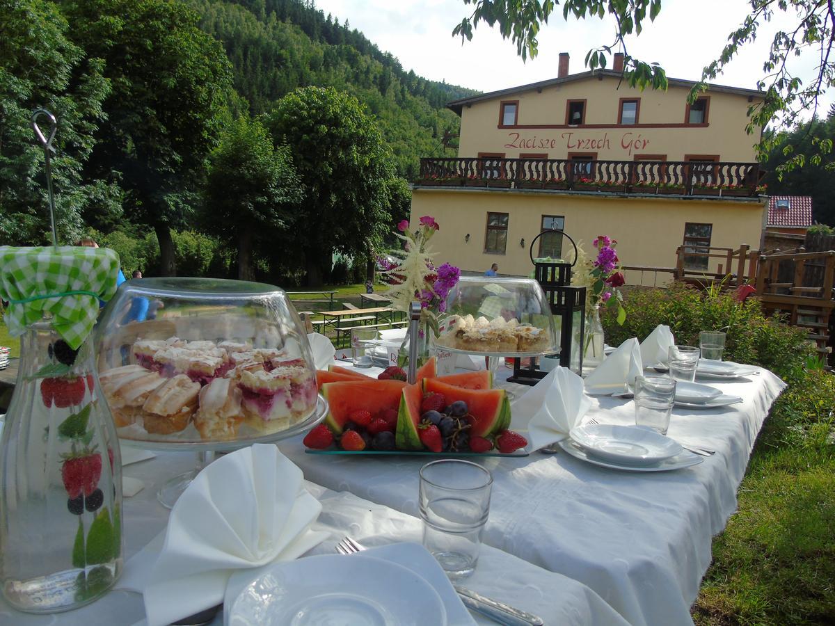 Zacisze Trzech Gór Vila Jedlina-Zdroj Exterior foto