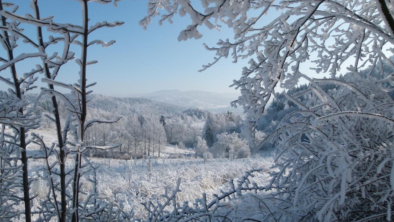 Zacisze Trzech Gór Vila Jedlina-Zdroj Exterior foto