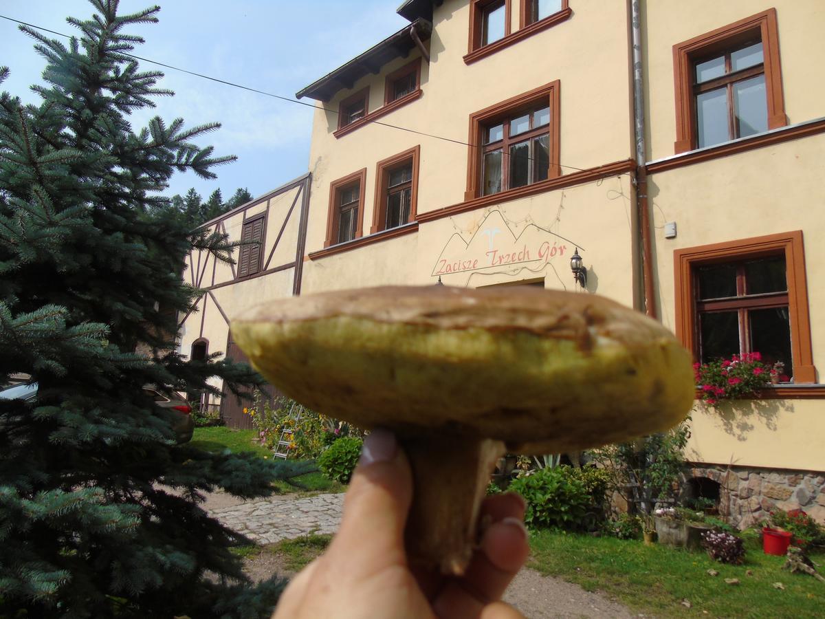 Zacisze Trzech Gór Vila Jedlina-Zdroj Exterior foto
