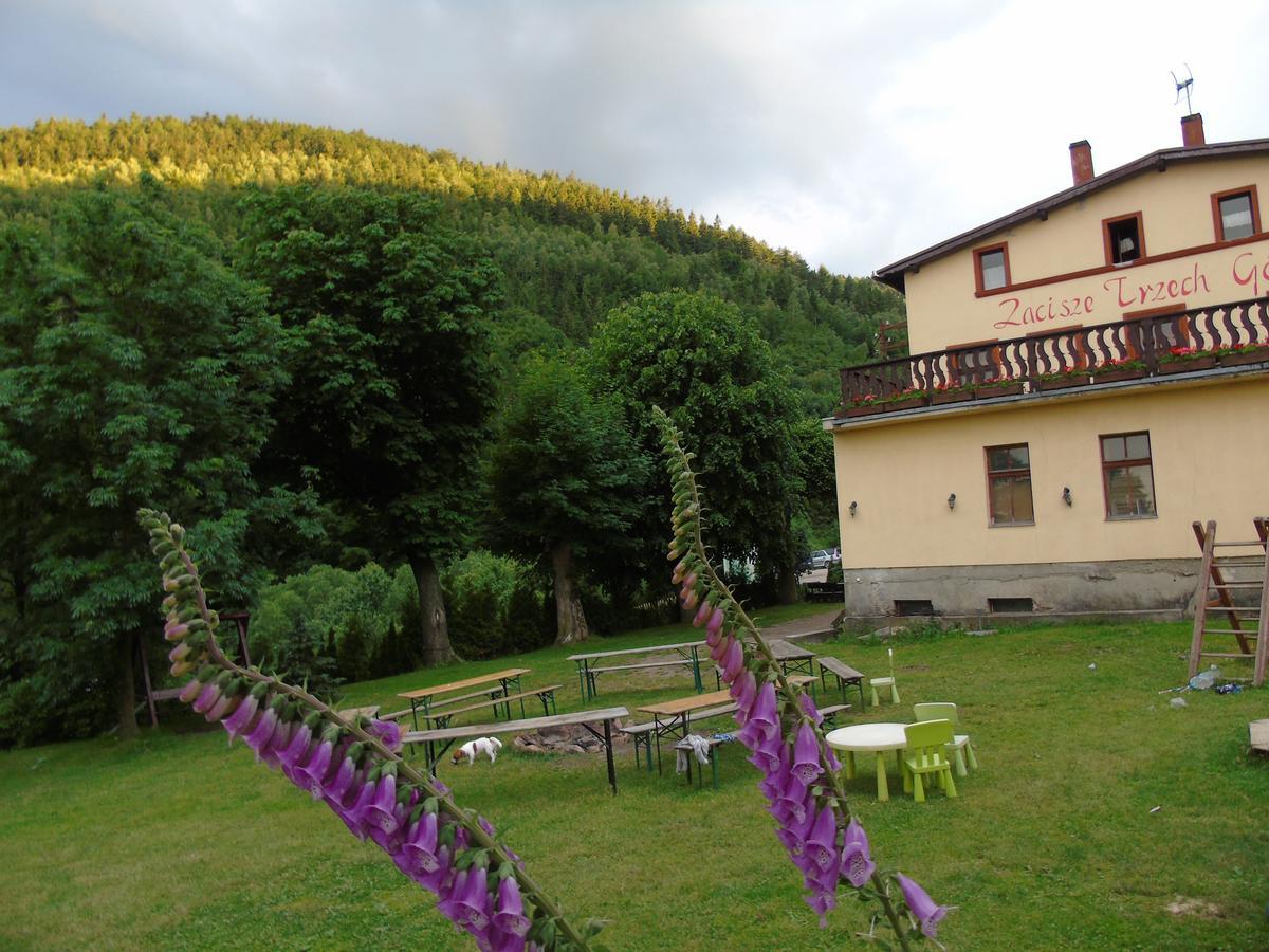 Zacisze Trzech Gór Vila Jedlina-Zdroj Exterior foto