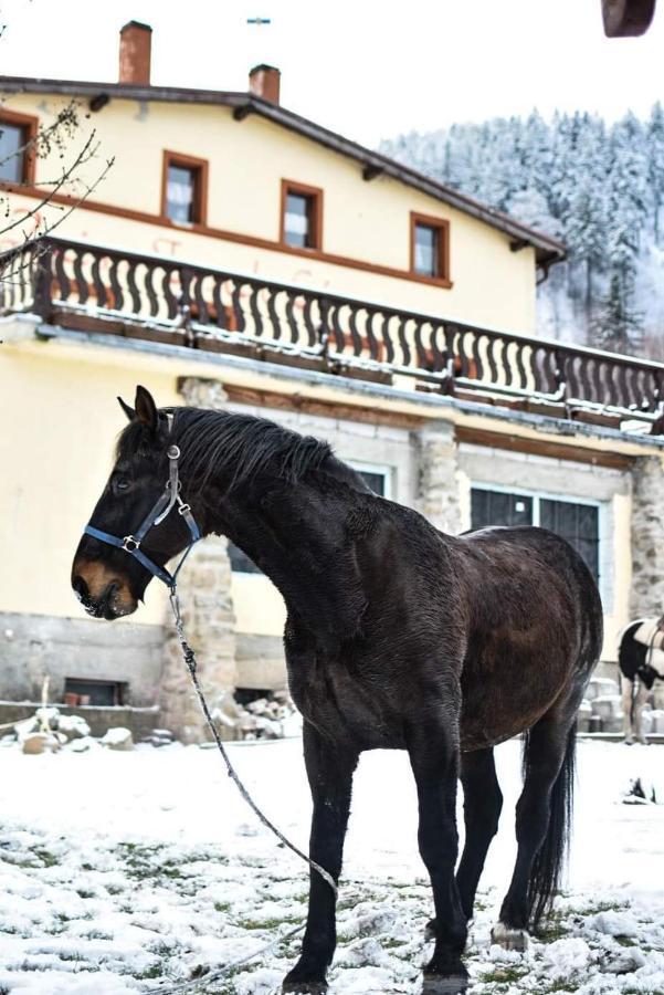 Zacisze Trzech Gór Vila Jedlina-Zdroj Exterior foto