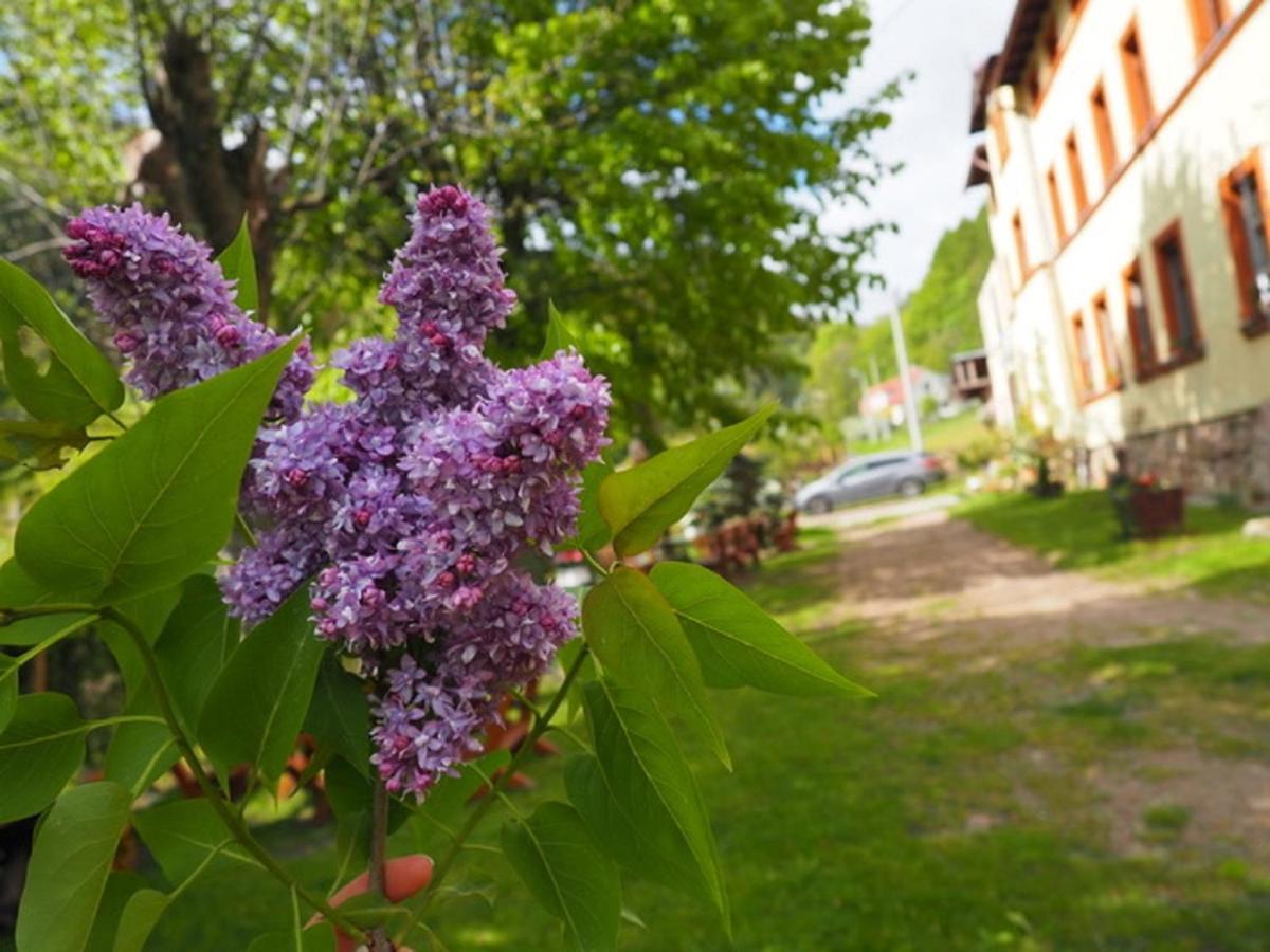 Zacisze Trzech Gór Vila Jedlina-Zdroj Exterior foto